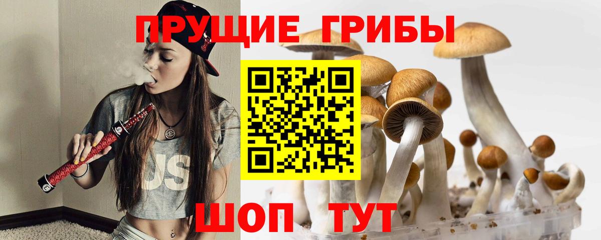 Псилоцибиновые грибы Cubensis Лянтор