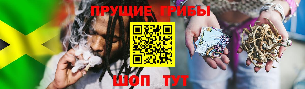 где купить наркоту  Вход с VPN  Лянтор  Галлюциногенные грибы Cubensis 